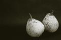 Fruits et legumes